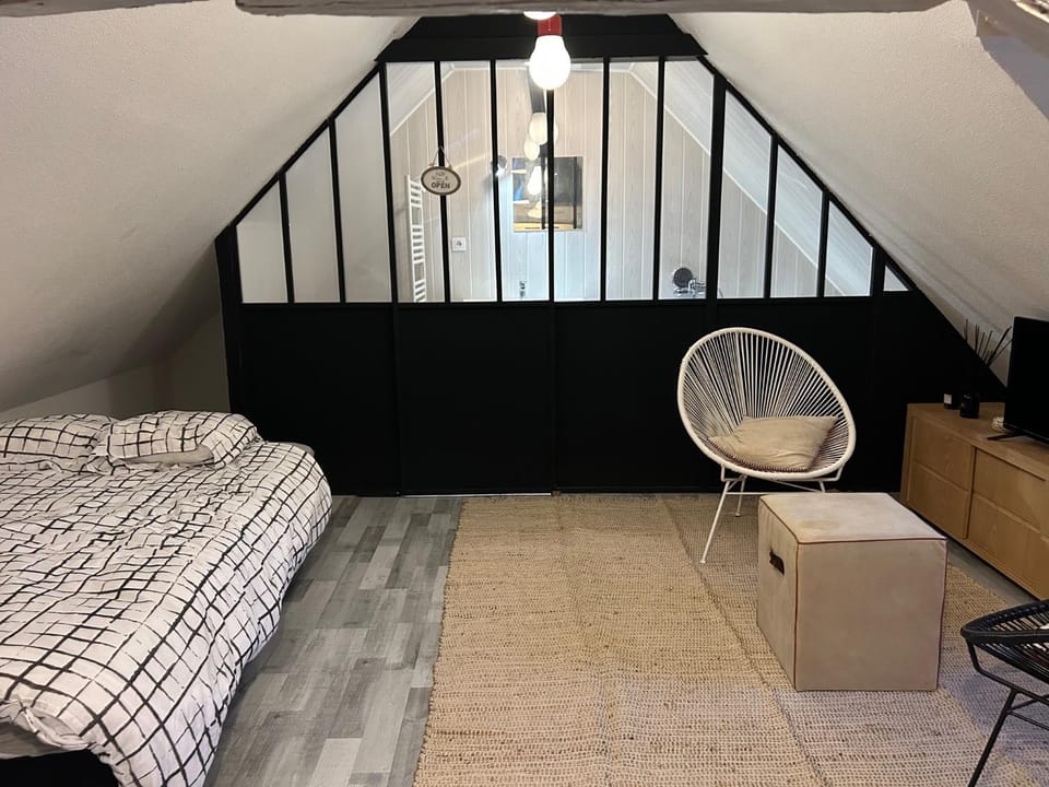 LE LOFT DU DOUBS Apartment in Besançon