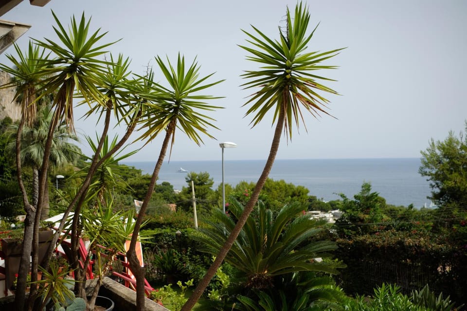 Sea view
