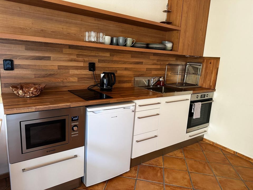 Ubytování na sklípku Apartment in South Moravian Region