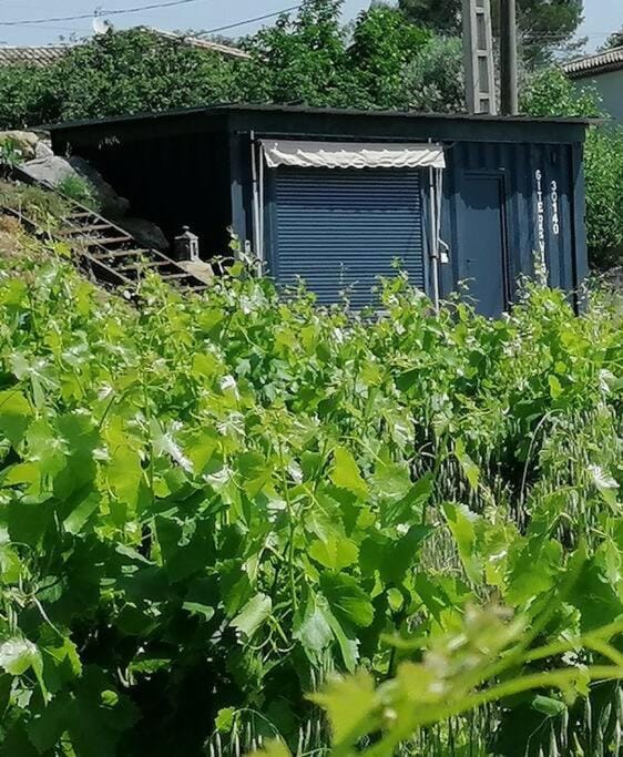Conteneur avec spa privé face aux vignes Apartment in Occitanie