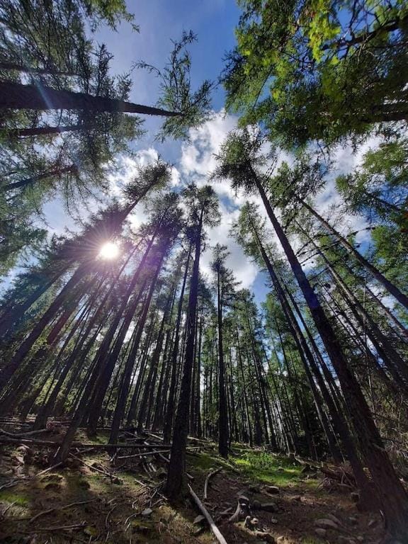 Large cozy studio in Castellane /Gorges du Verdon Apartment in Castellane