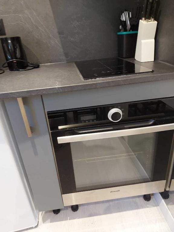 Large cozy studio in Castellane /Gorges du Verdon Apartment in Castellane