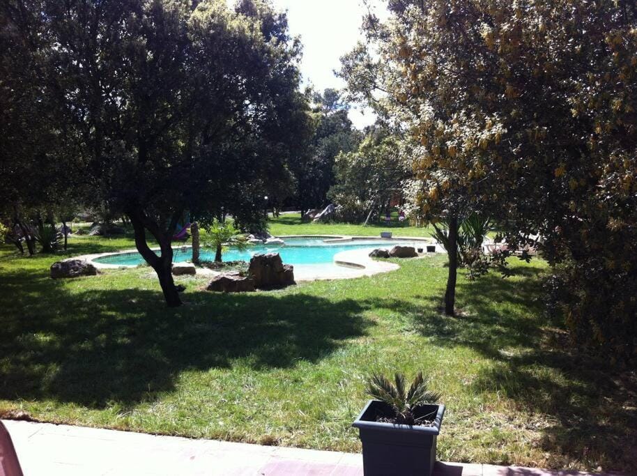 Pool view, Swimming pool
