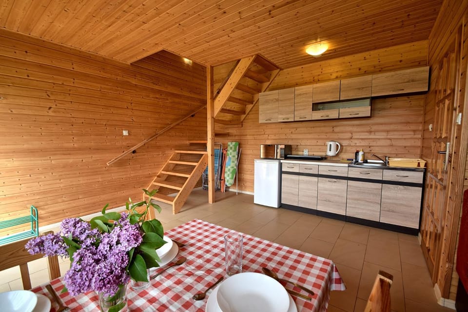 Domki Biały Łabędź Apartment in West Pomeranian Voivodeship, Poland