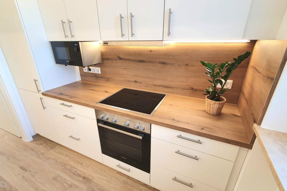 Kitchen or kitchenette, minibar, pet friendly, stove