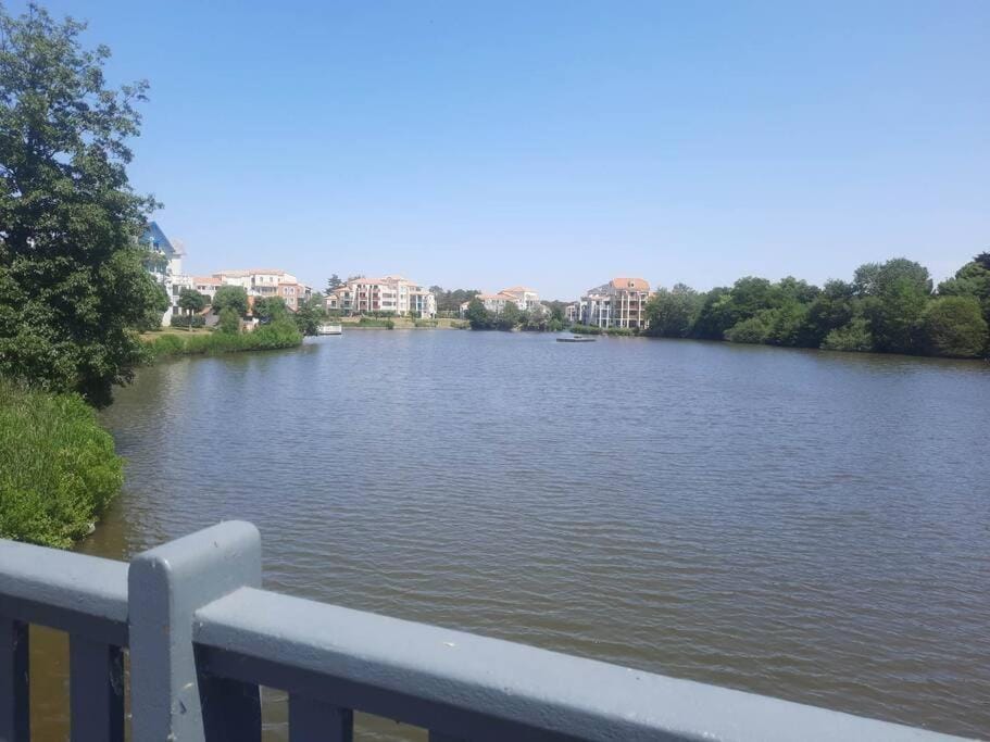 Lake view