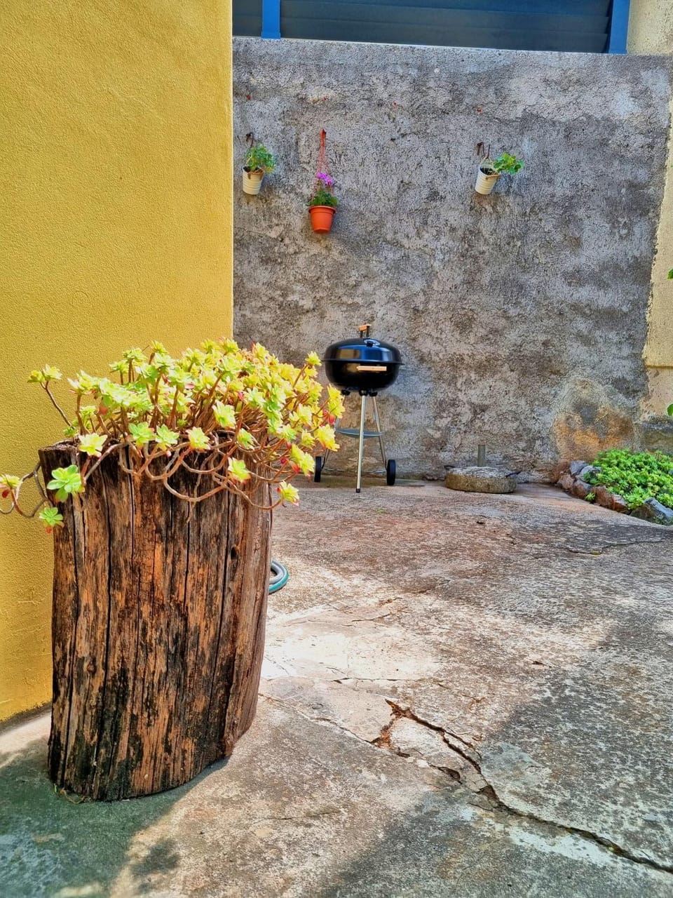 Day, BBQ facilities, Garden, Garden view