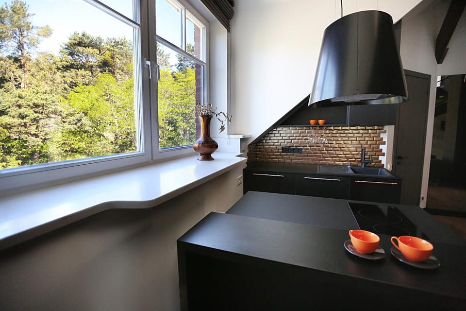 Nora Terakota Apartment in Klaipėda County, Lithuania