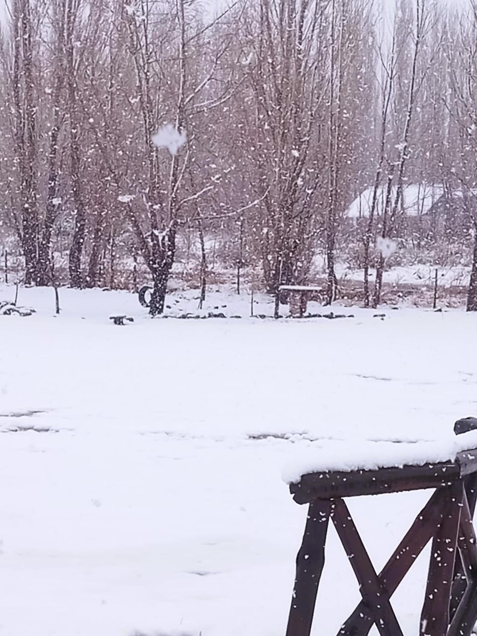 Natural landscape, Winter