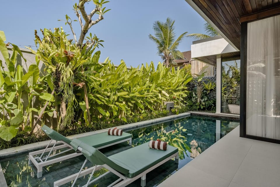 Garden, Garden view, Pool view, Swimming pool, sunbed