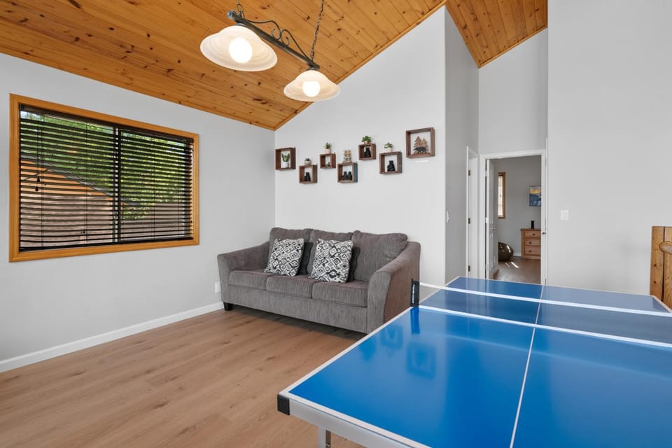 Table tennis, Seating area