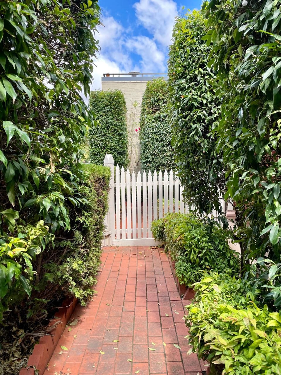 Garden, Garden view