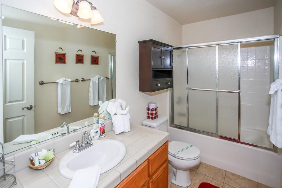 Shower, Toilet, Bathroom, Bath, towels