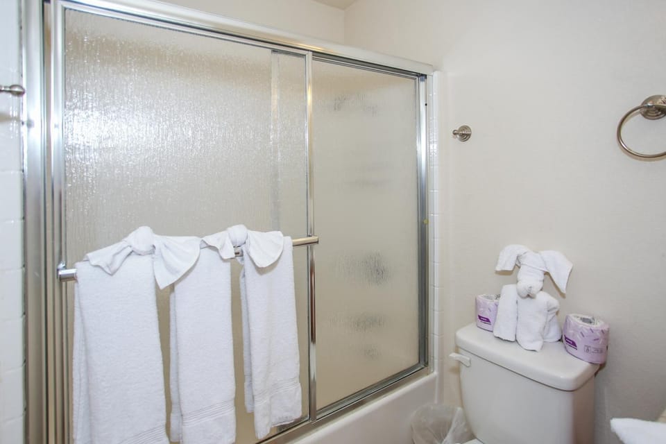 Shower, Toilet, Bathroom, Bath, towels