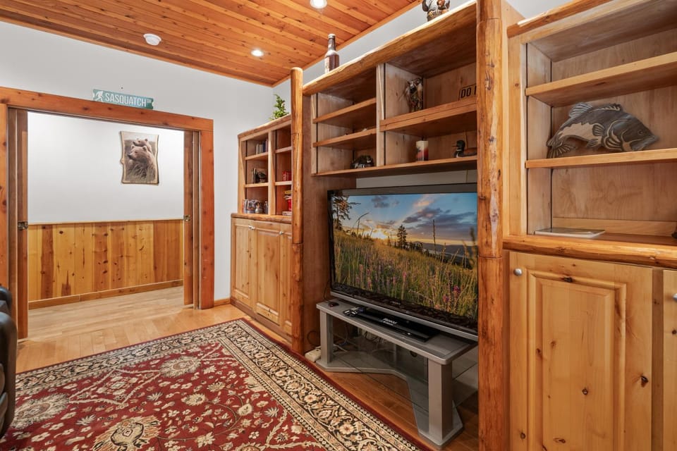 Game Room, TV and multimedia