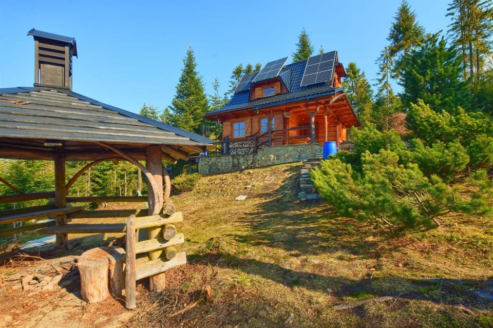 Property building, Garden, Garden view