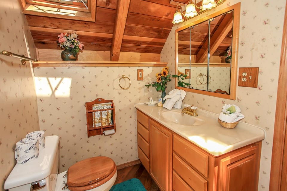 Toilet, Bathroom, towels