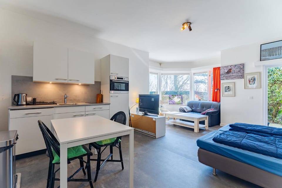 Vrijvakantiehuis Domburgseweg 52 studio Apartment in Domburg