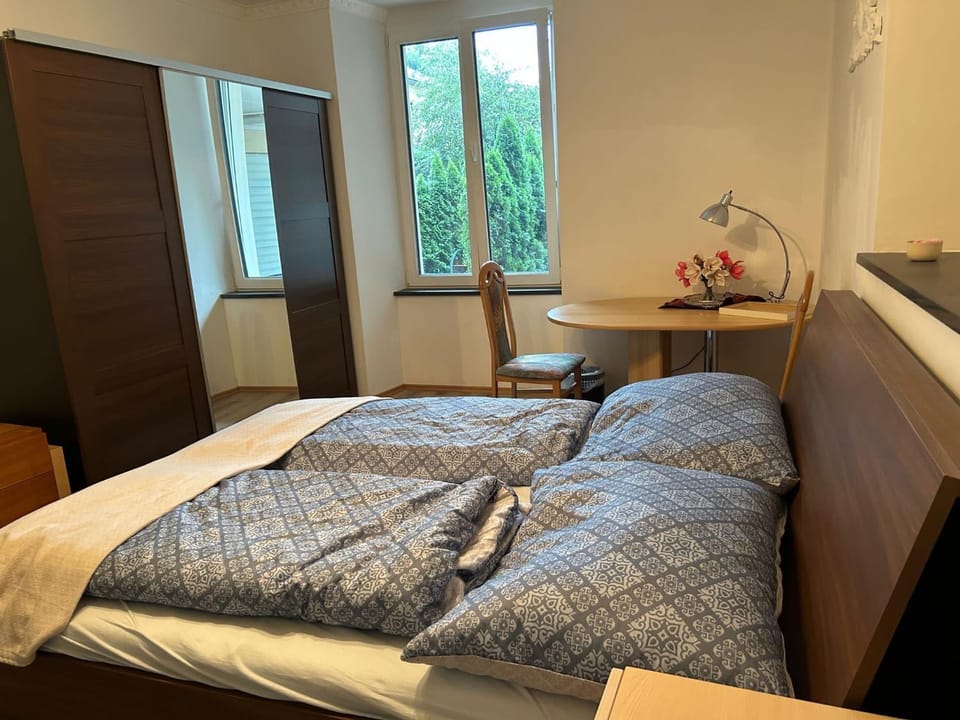 Center No 1 Apartment in Salzburgerland