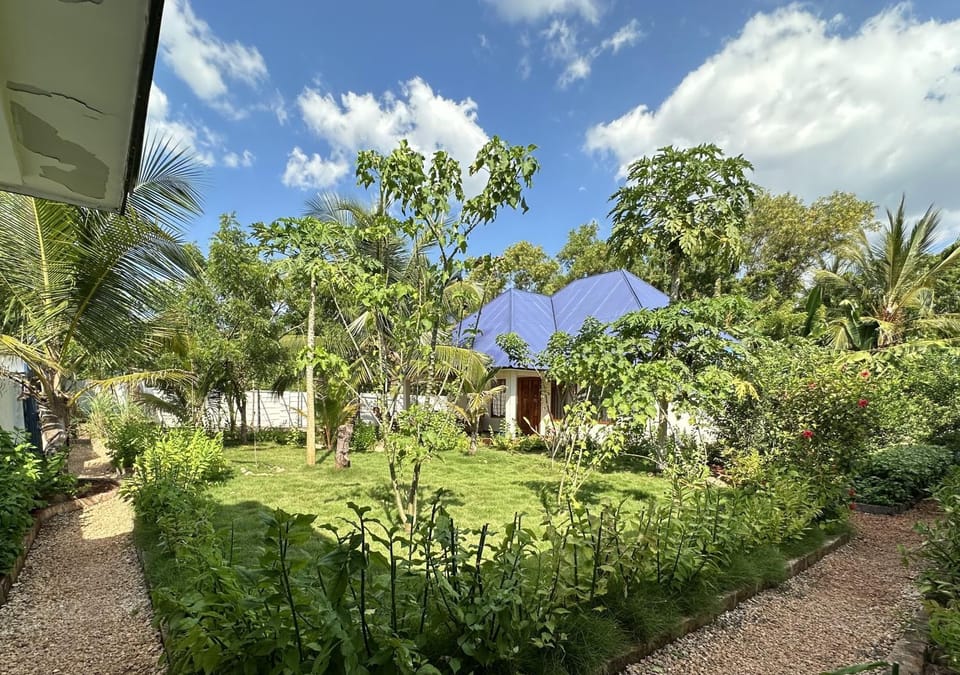 Garden view