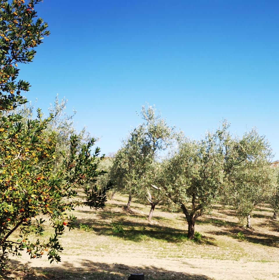 Natural landscape