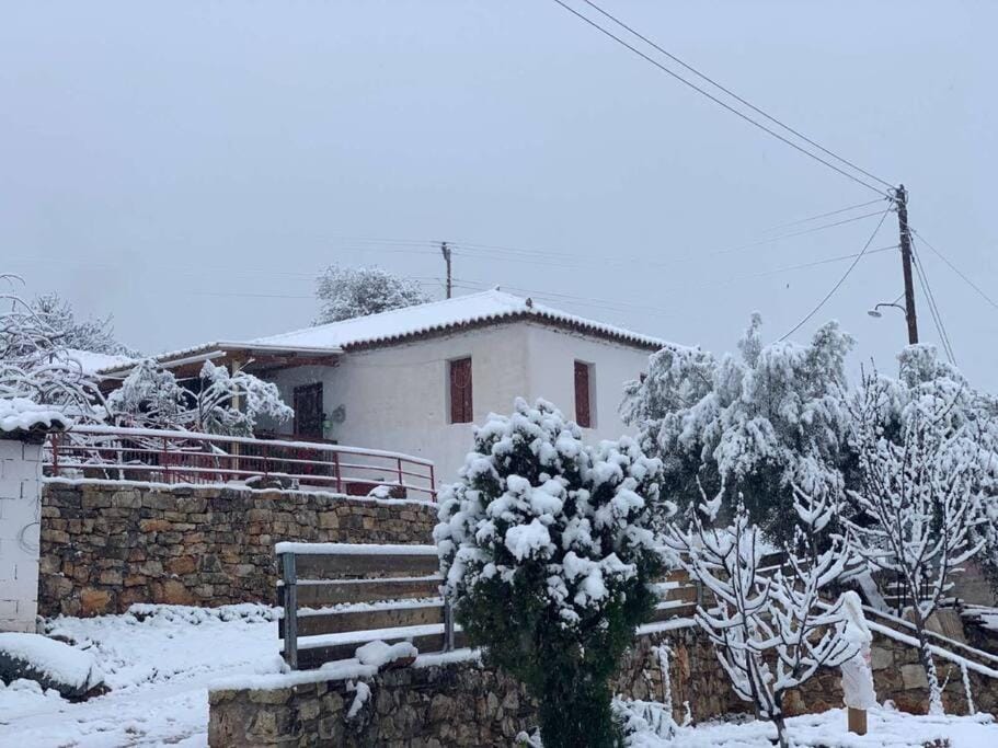 Property building, Winter