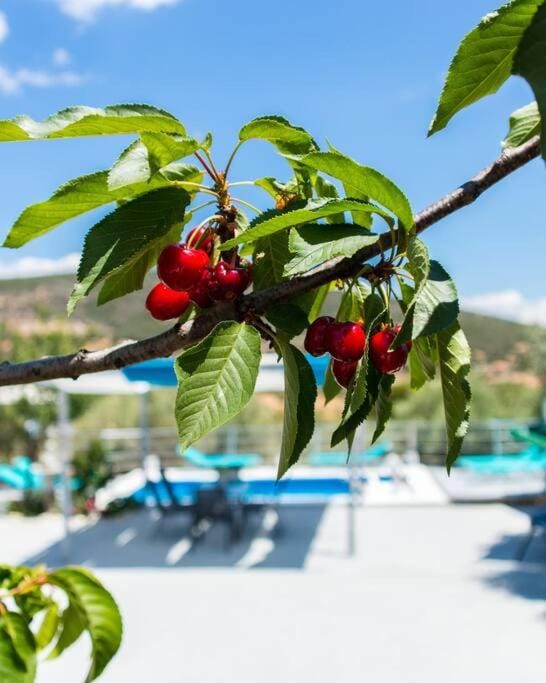 Spring, Pool view