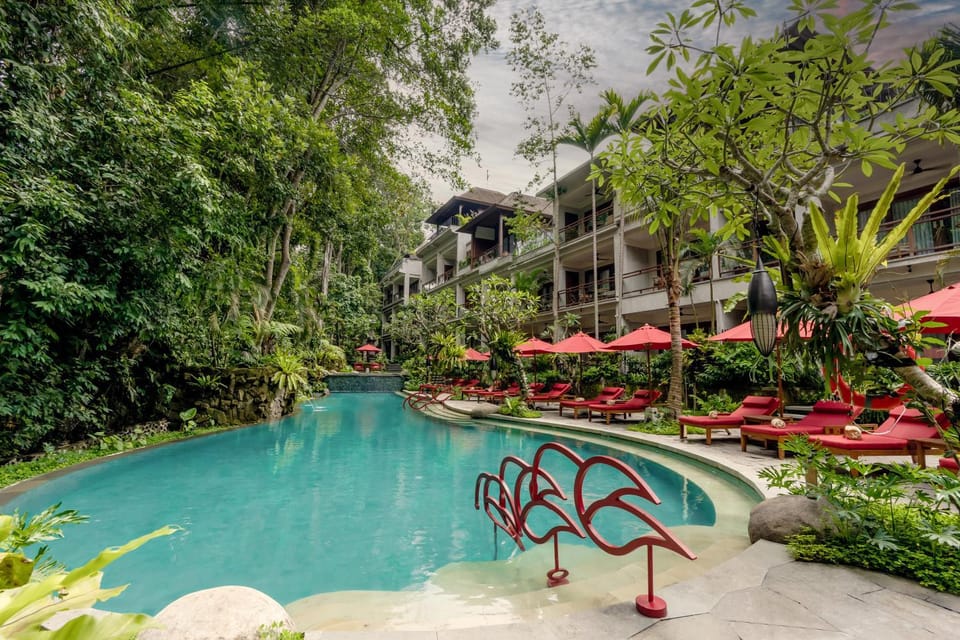 Property building, Garden, Swimming pool