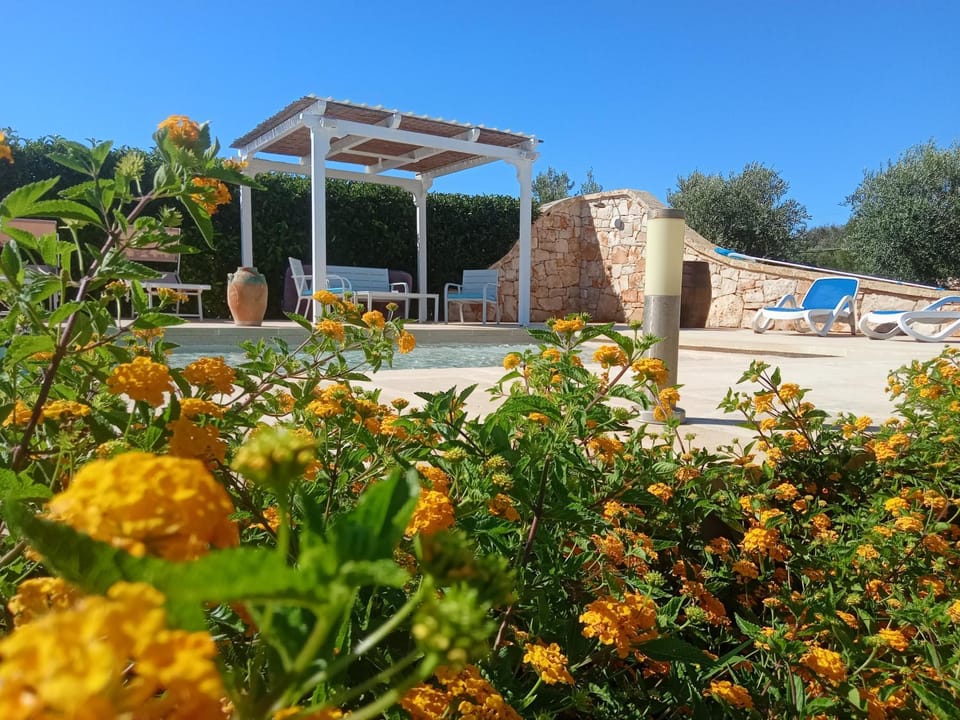 Solarium, Swimming pool