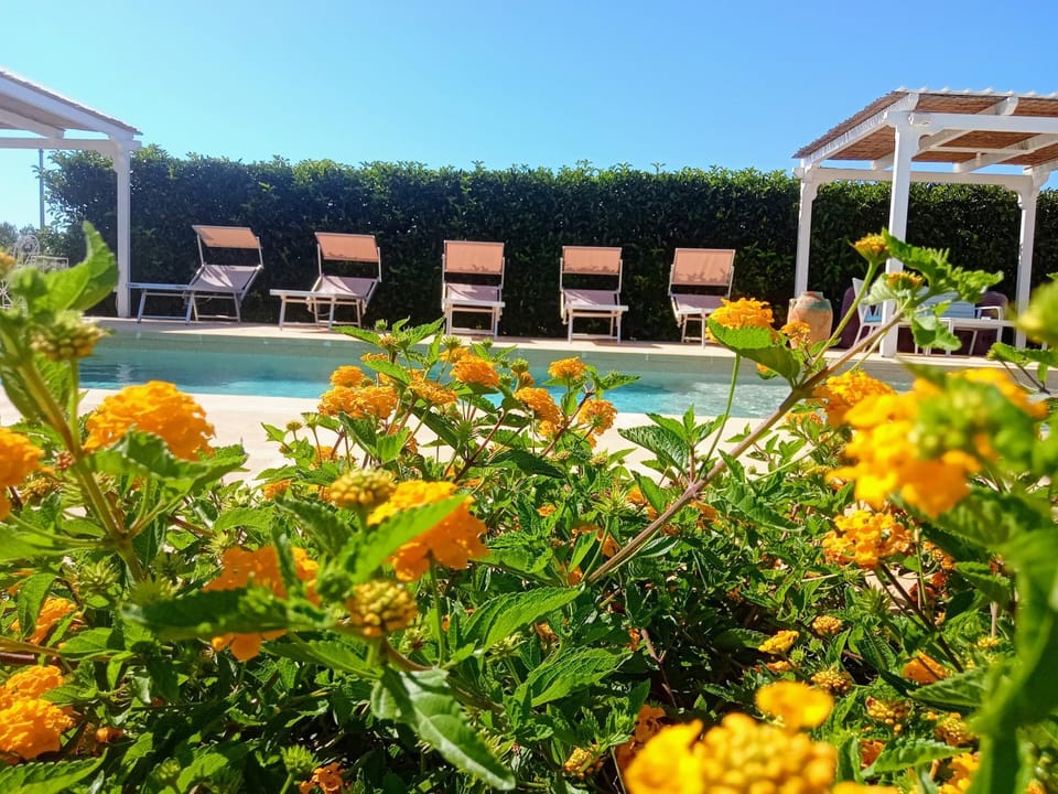 Solarium