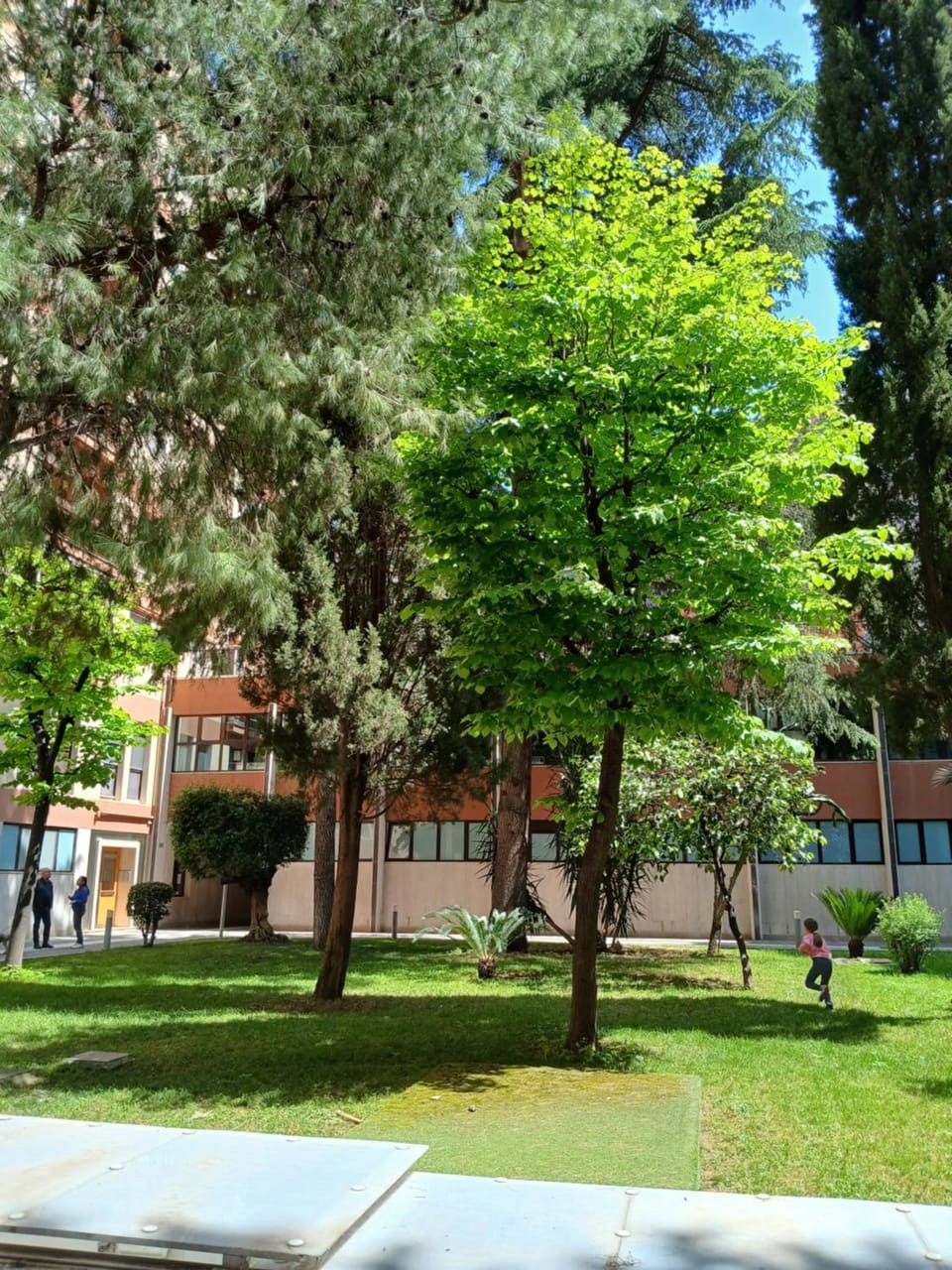 Garden view