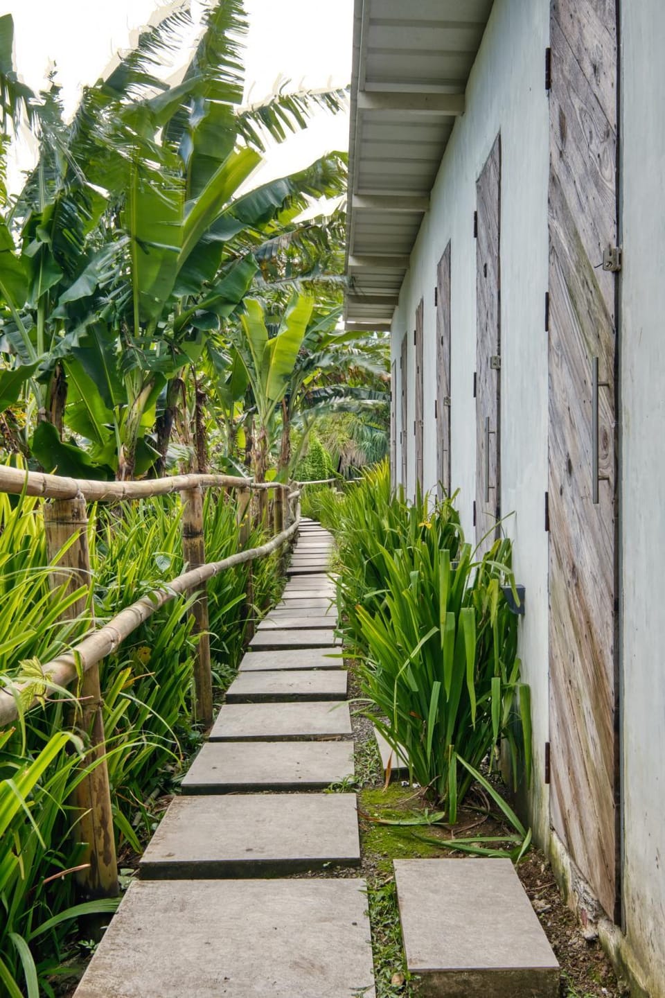 Natural landscape, Garden, Bathroom