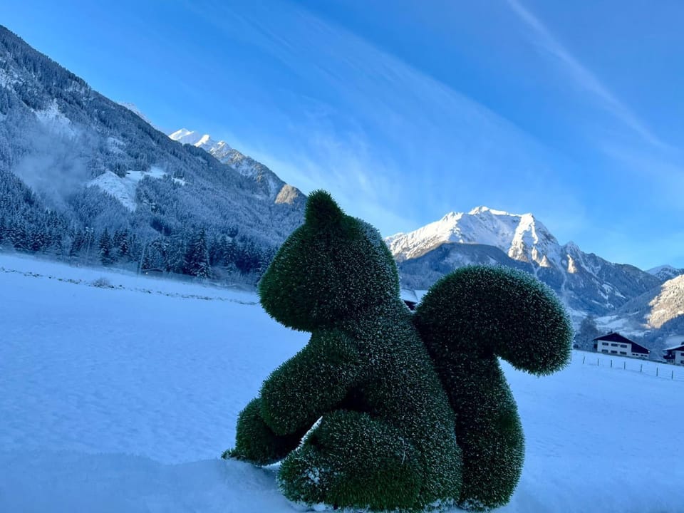 Natural landscape, Winter
