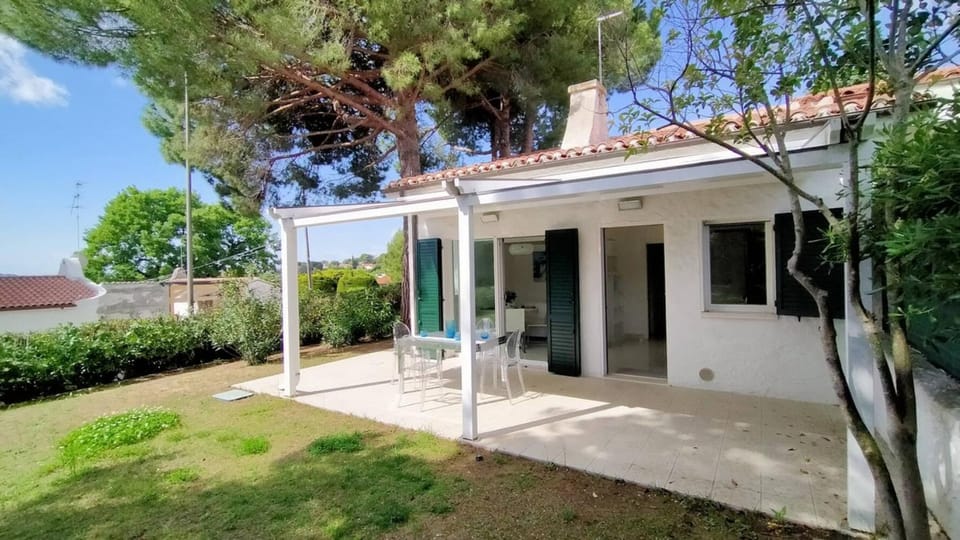 Property building, Summer, Garden, Garden view