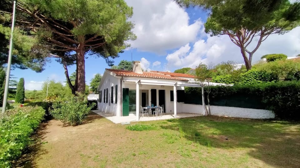 Property building, Summer, Garden, Garden view