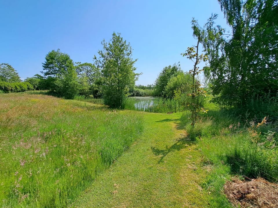 Natural landscape, Garden, Garden, Garden view