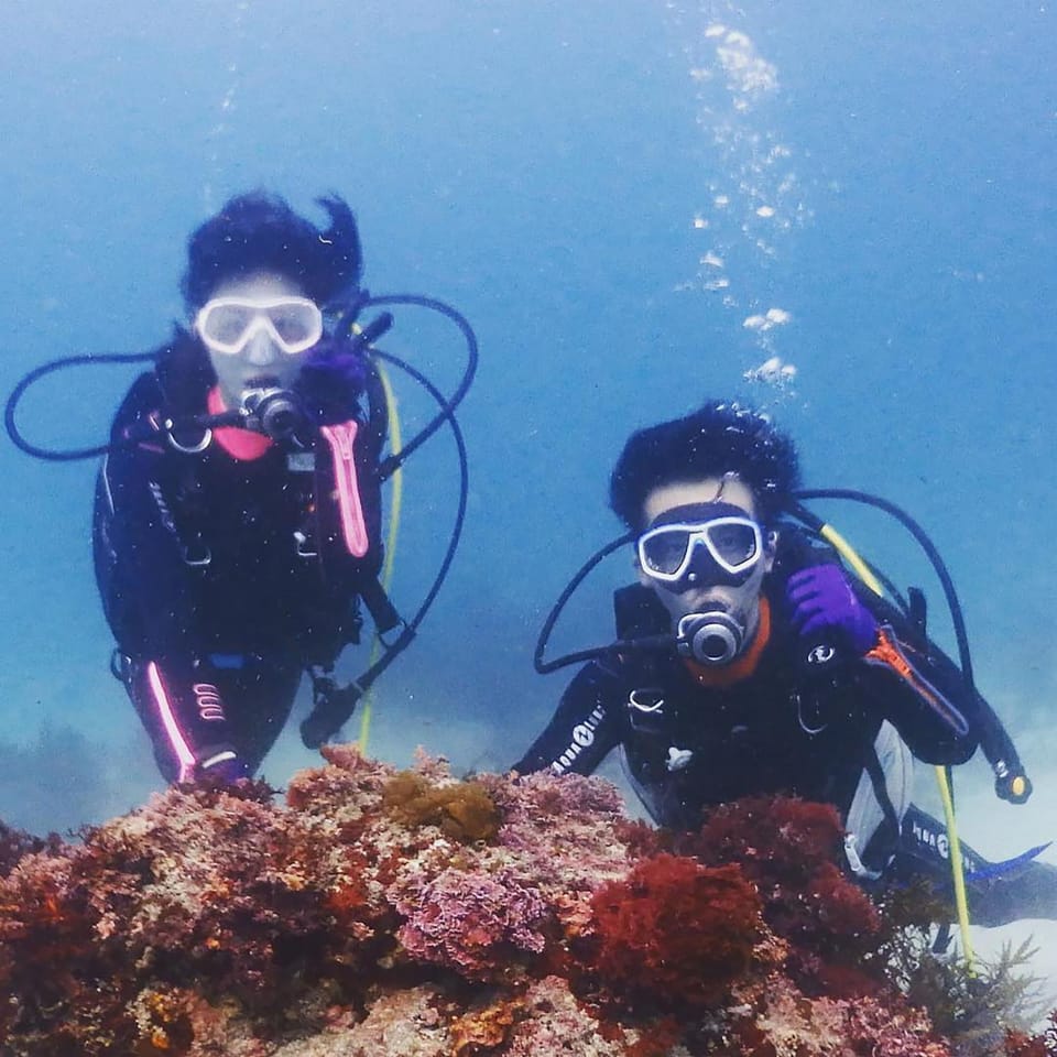 Activities, Diving