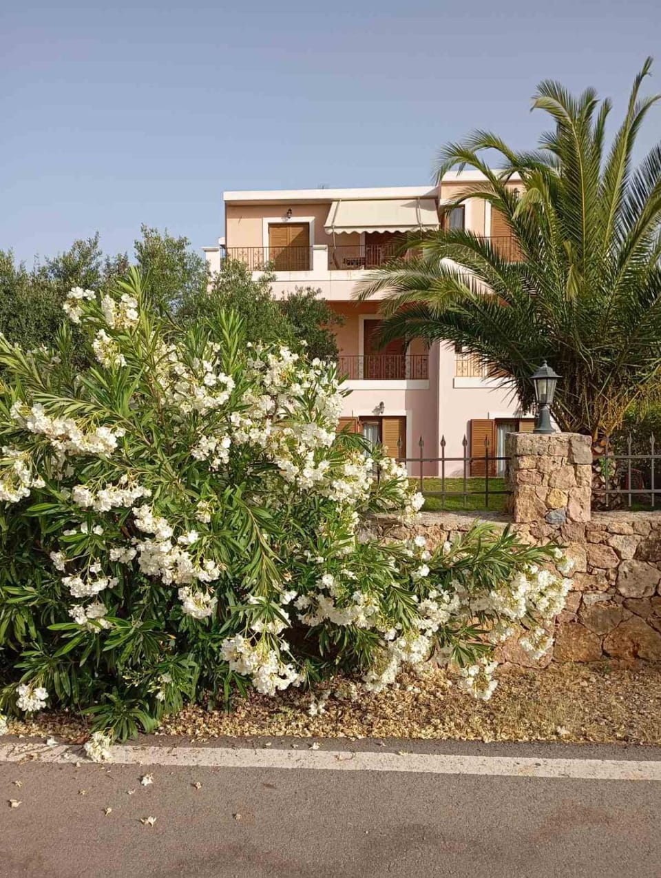 Property building, Garden view
