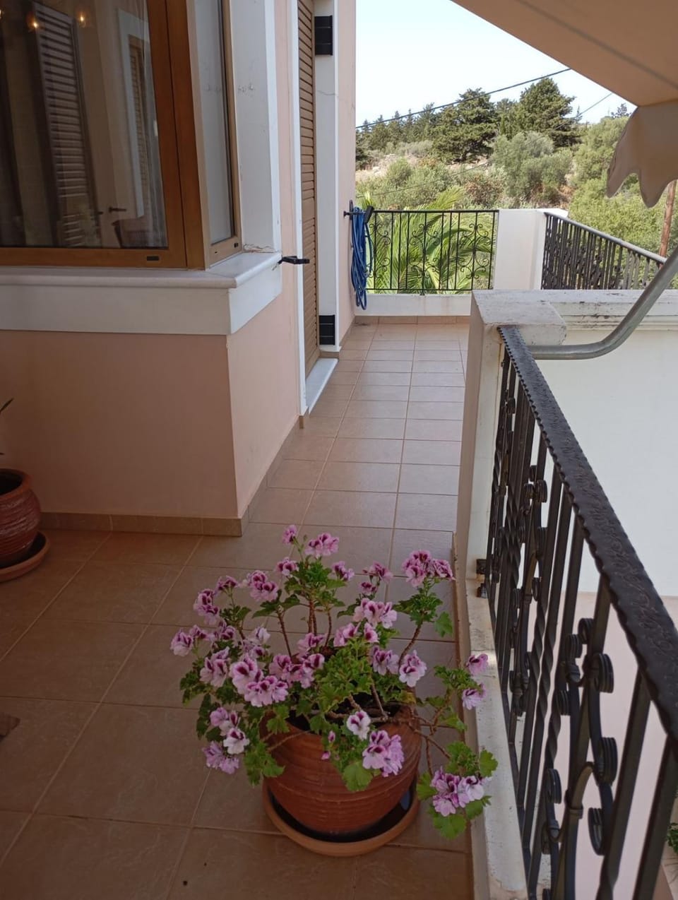 Balcony/Terrace, Garden view