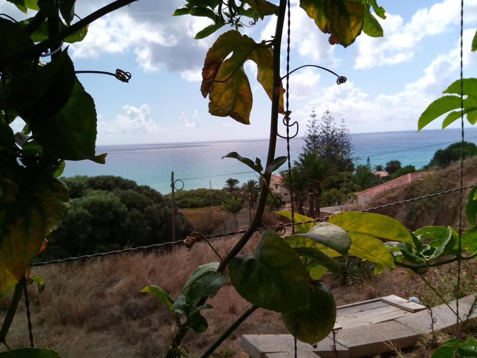 Day, Natural landscape, Garden, Mountain view, Sea view