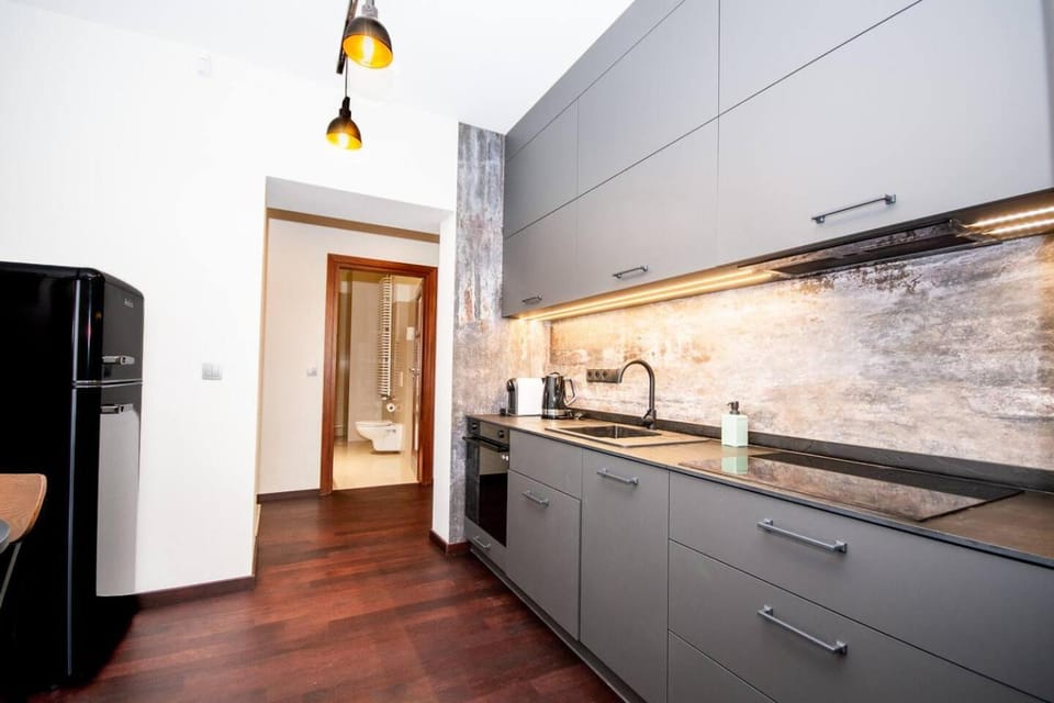 Kitchen or kitchenette, minibar, pet friendly, stove