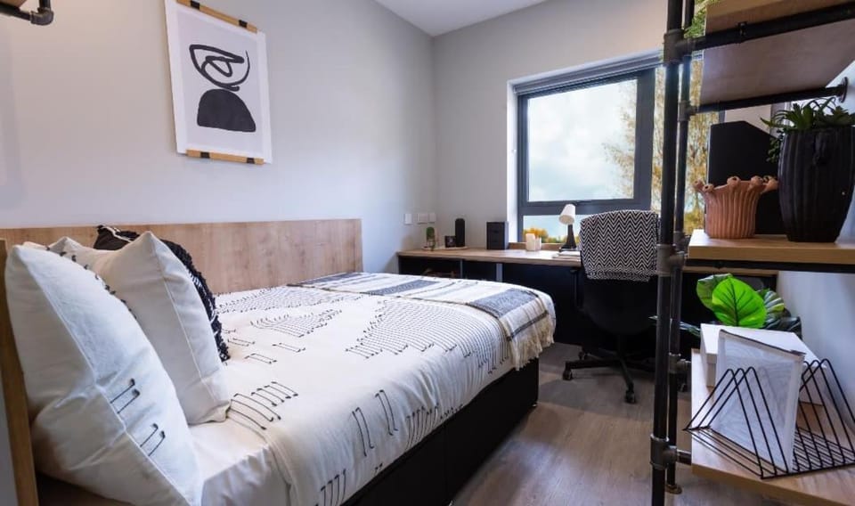 Bed, Photo of the whole room, Bedroom