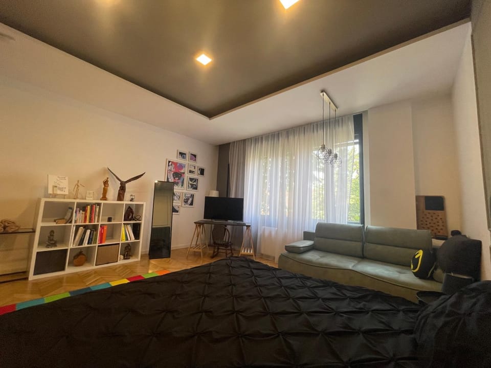 NEW Opera Studio Old City Center Self Check in Apartment in Timisoara
