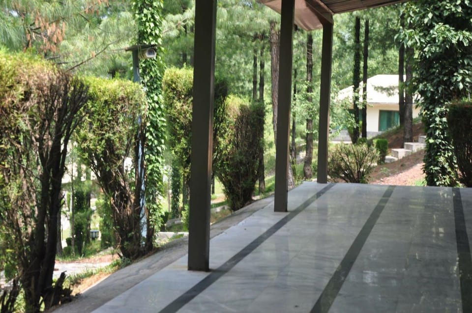 Natural landscape, Garden view