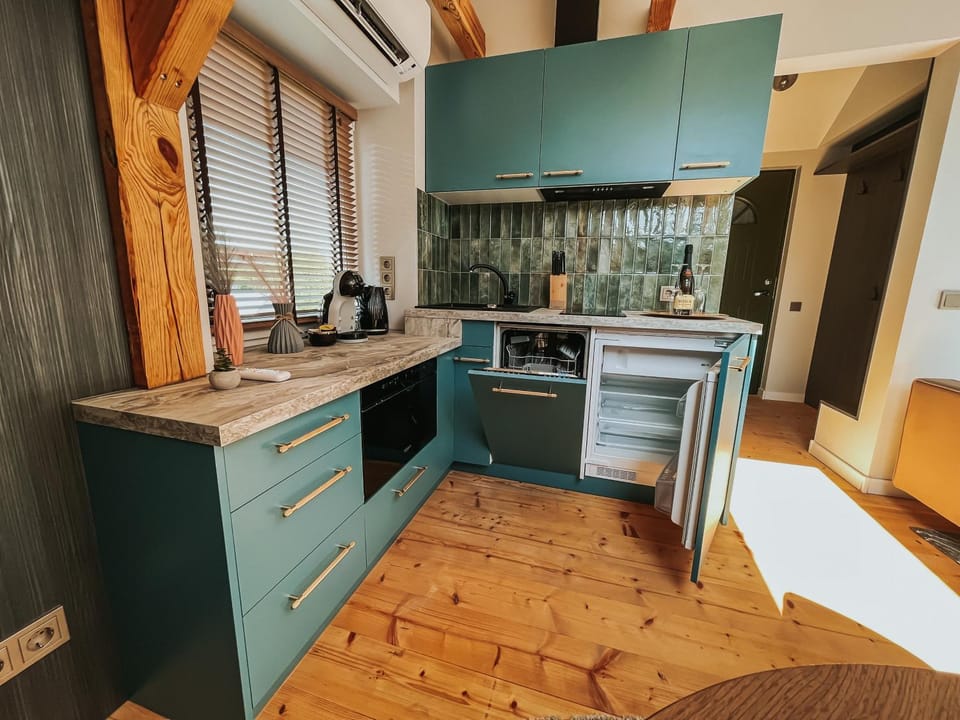 Kitchen or kitchenette, dishwasher, oven, stove