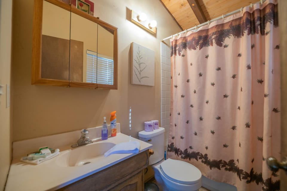 Shower, Toilet, Bathroom, Bath