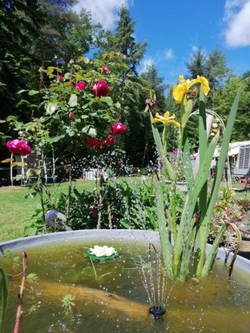 Le Pick up 403 vintage Campground/ 
RV Resort in Nouvelle-Aquitaine