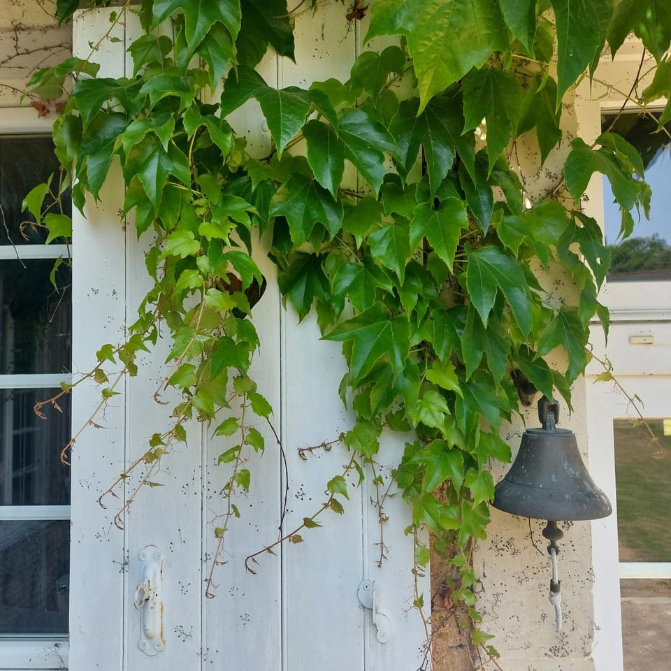 Maison d'hôtes de La Roche Tabary Bed and Breakfast in Pays de la Loire