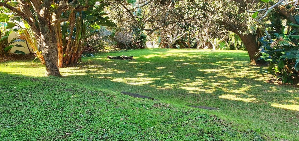 Spring, Natural landscape, Garden, Garden, Garden view