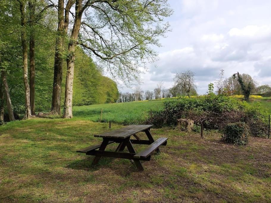 Natural landscape, Garden, Garden view
